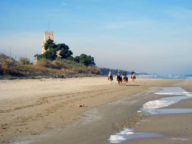 i Cavalieri della Torre