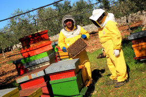 Piero e Fabio al lavoro